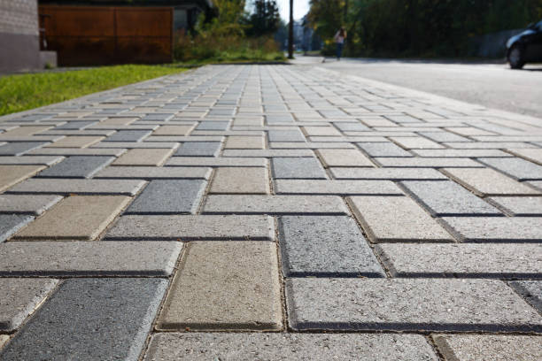 Trusted Blackville, SC Driveway Pavers Experts