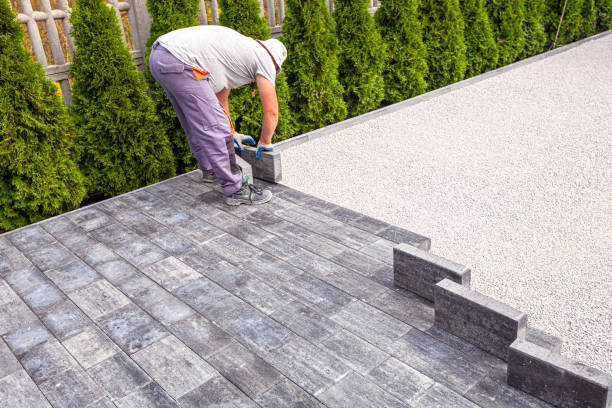 Best Professional Driveway Pavers  in Blackville, SC