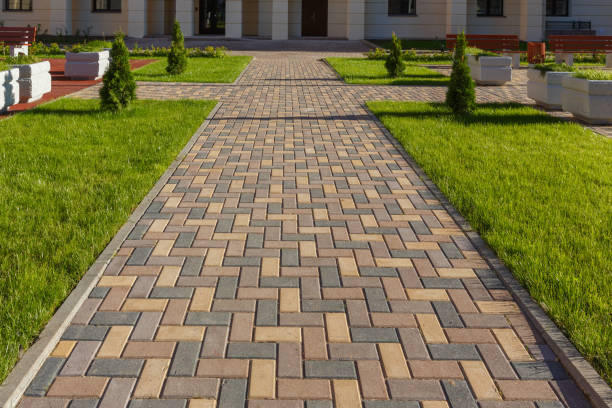 Best Commercial Driveway Pavers  in Blackville, SC
